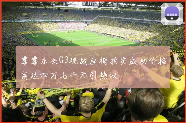 霉霉东决G3观战座椅拍卖成功价格高达四万七千元引热议