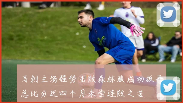 马刺主场强势击败森林狼成功扳平总比分近四个月未尝连败之苦